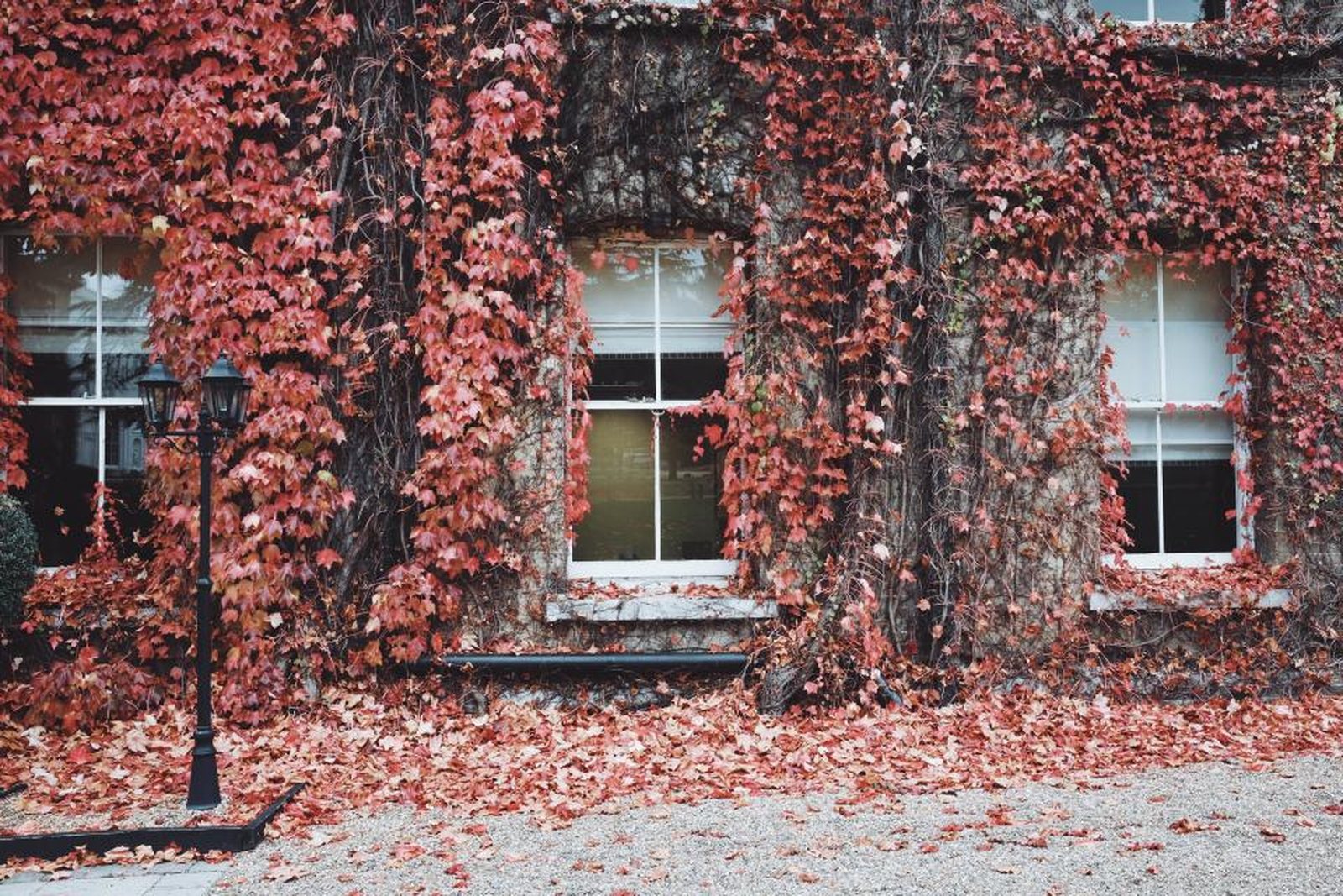 Einfamilienhaus im Herbst mit buntem Laub und warmem Licht in den Fenstern