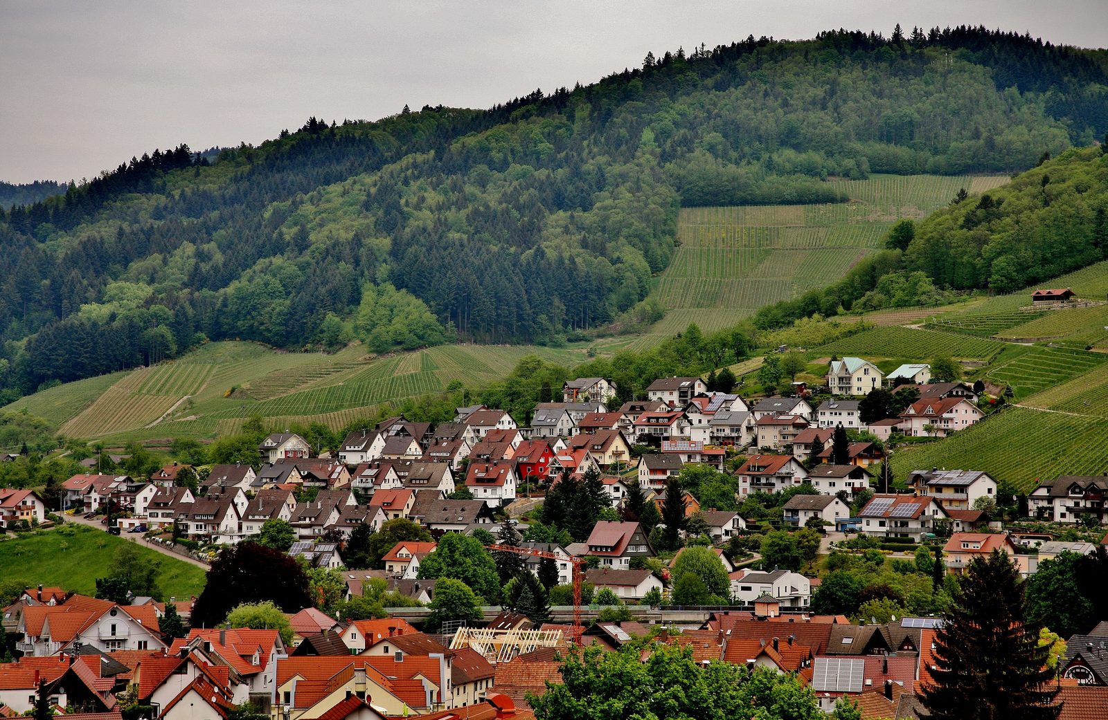 Luftaufnahme einer Kleinstadt mit umliegenden Feldern und Wäldern in Nordostbayern