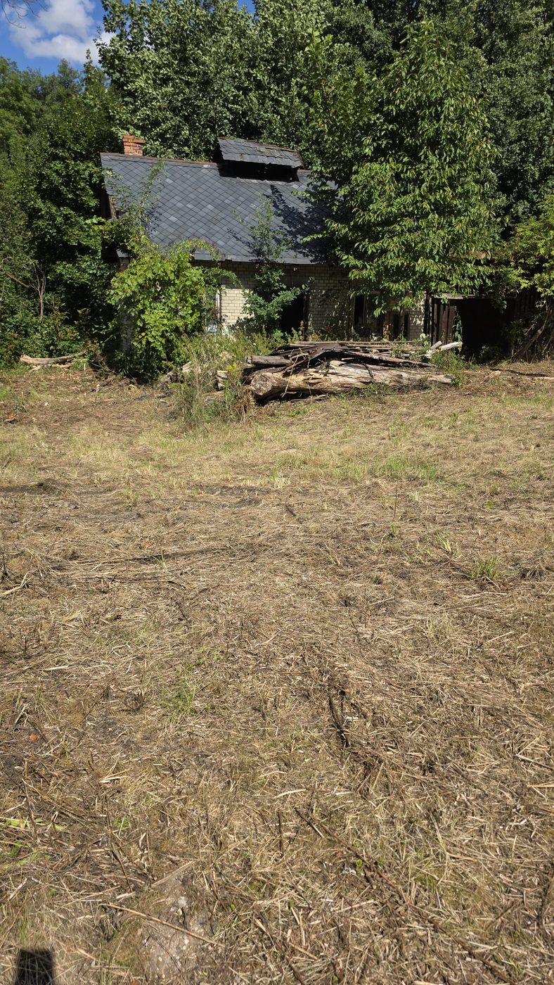 Die Wiese Richtung Haus