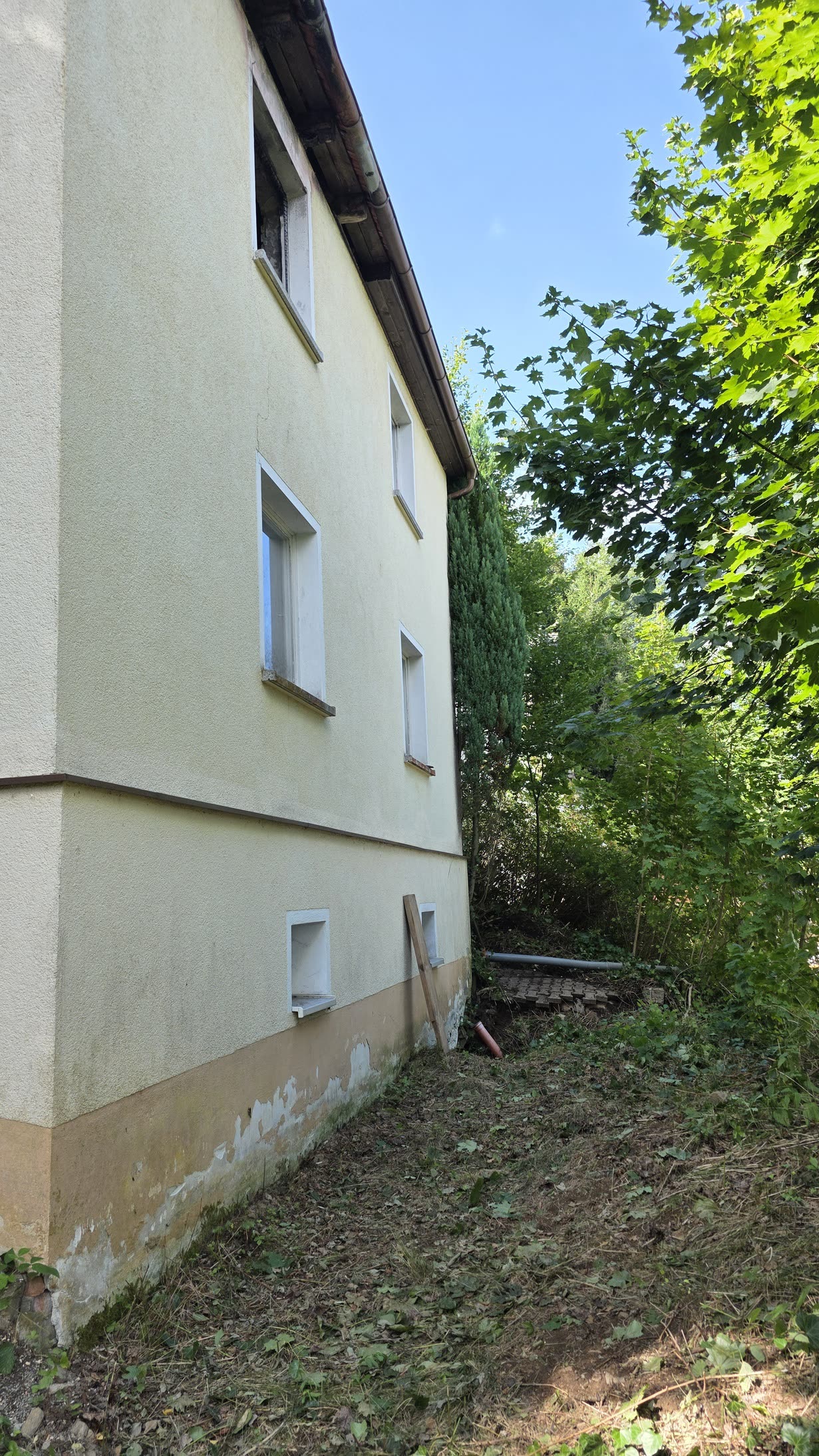 Rückseite