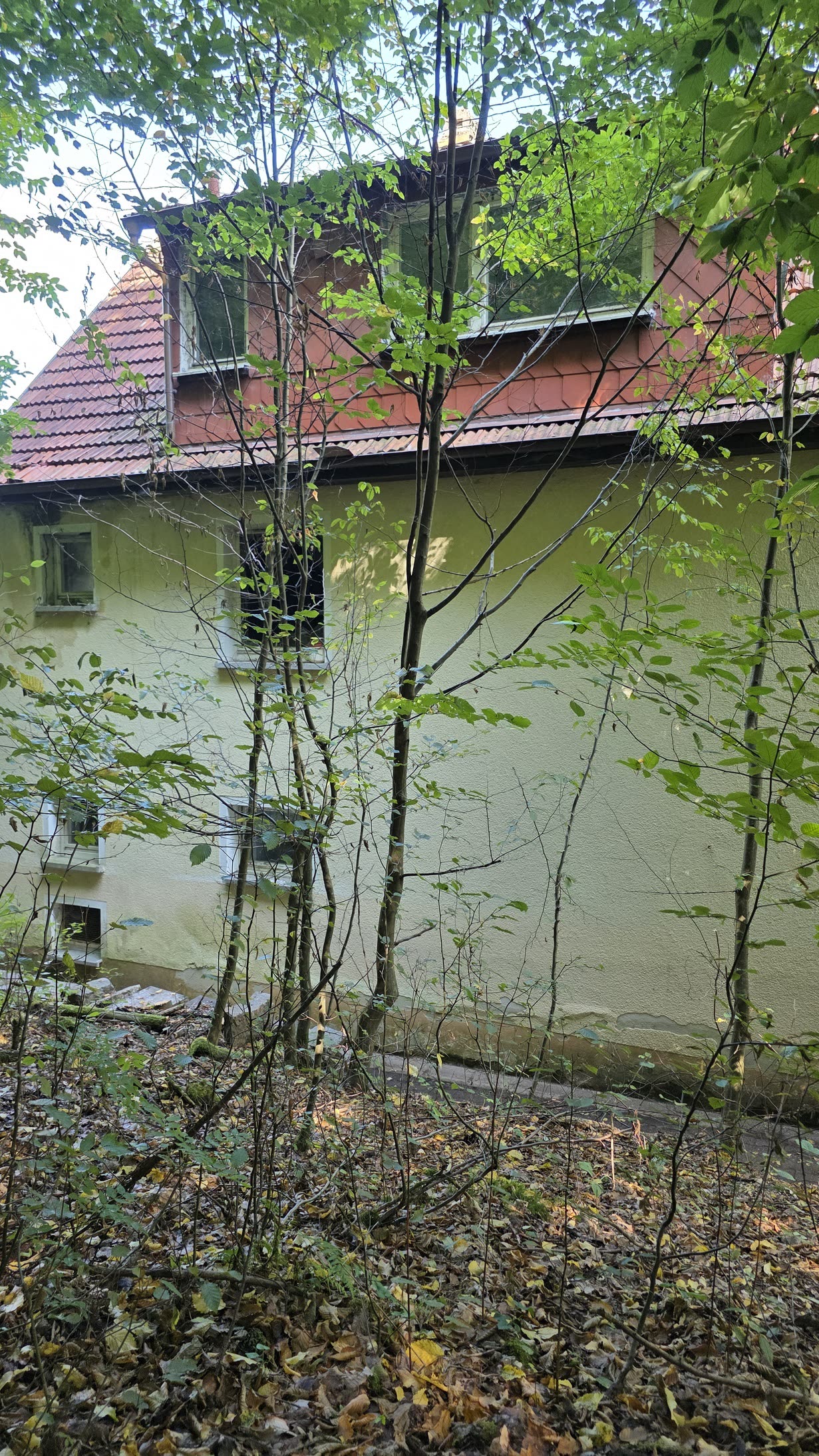 Dachseite