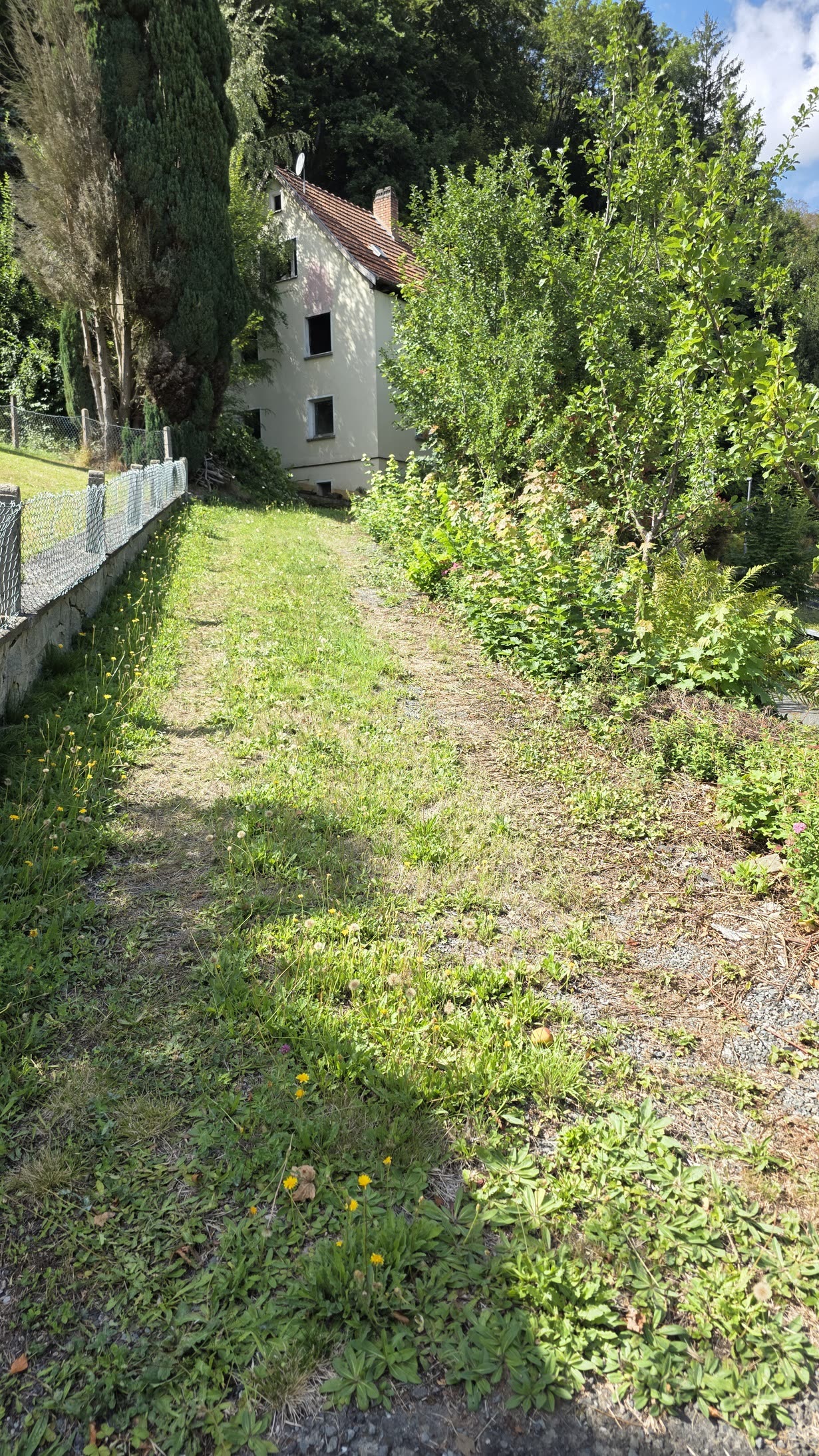 Garten hinter dem Haus