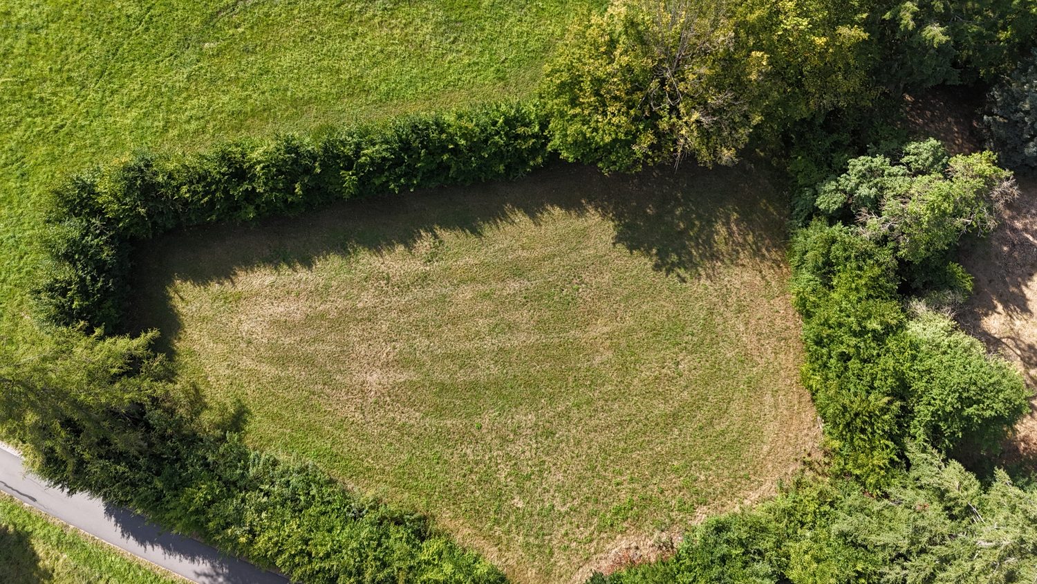 Luftbild: die offene Wiese, ringsum von Hecken eingefasst