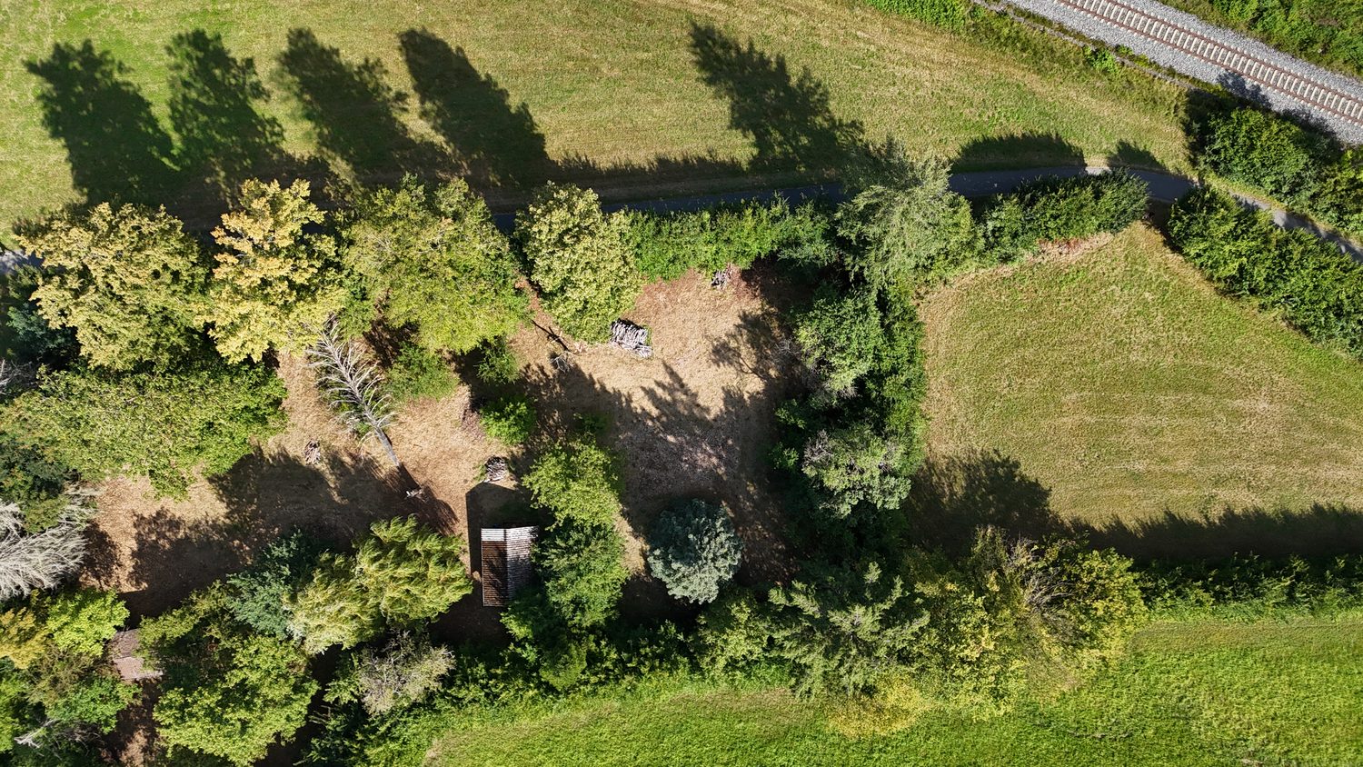 Luftbild: Wiese und Baumbestand nebeneinander