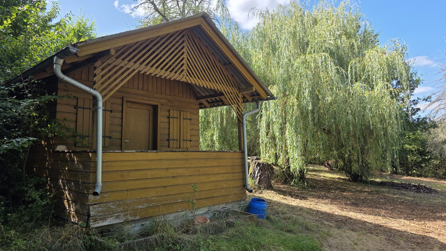 Holzhütte mit Trauerweide