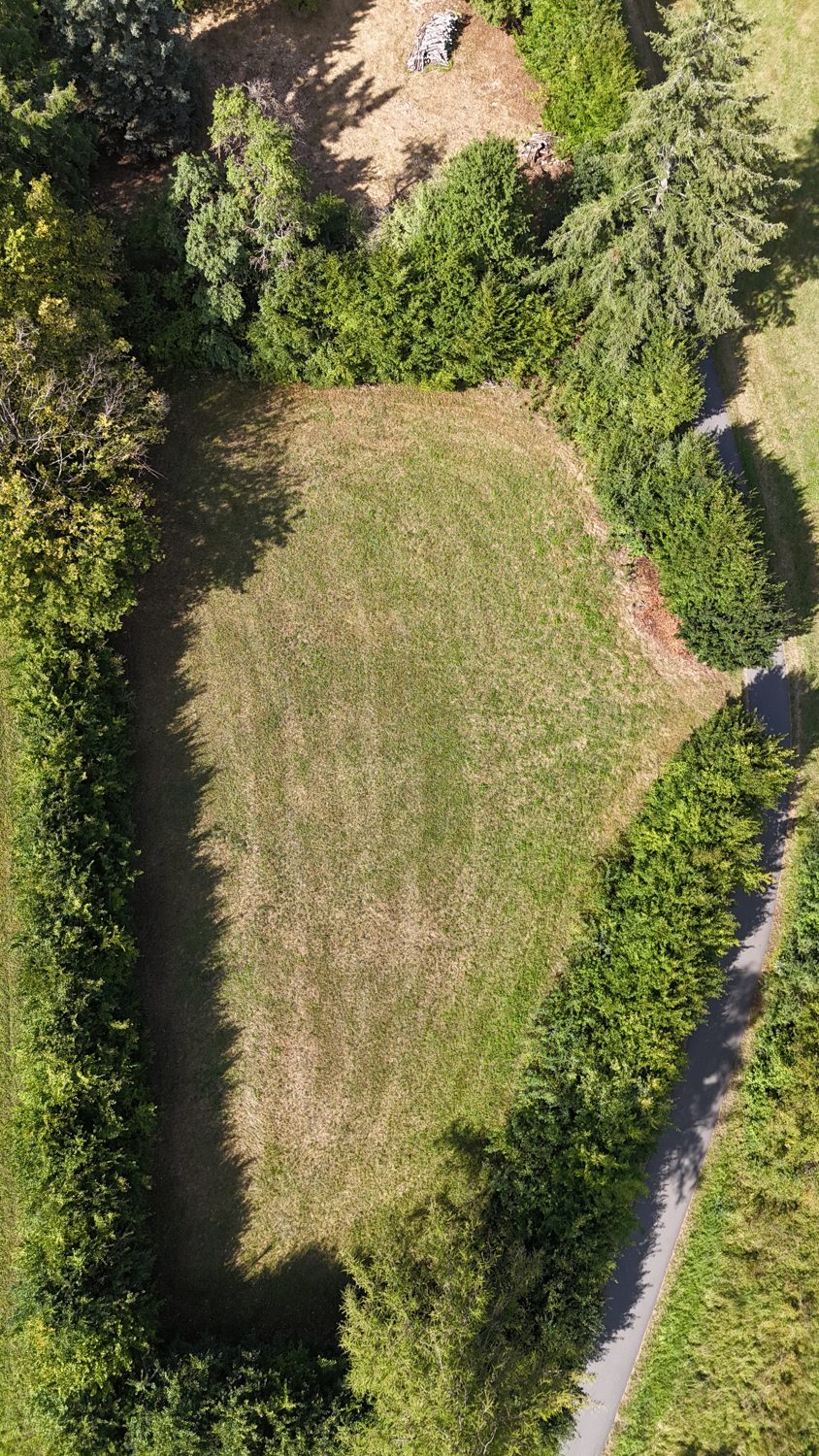 Luftbild hochkant: die Wiese mit Hecke