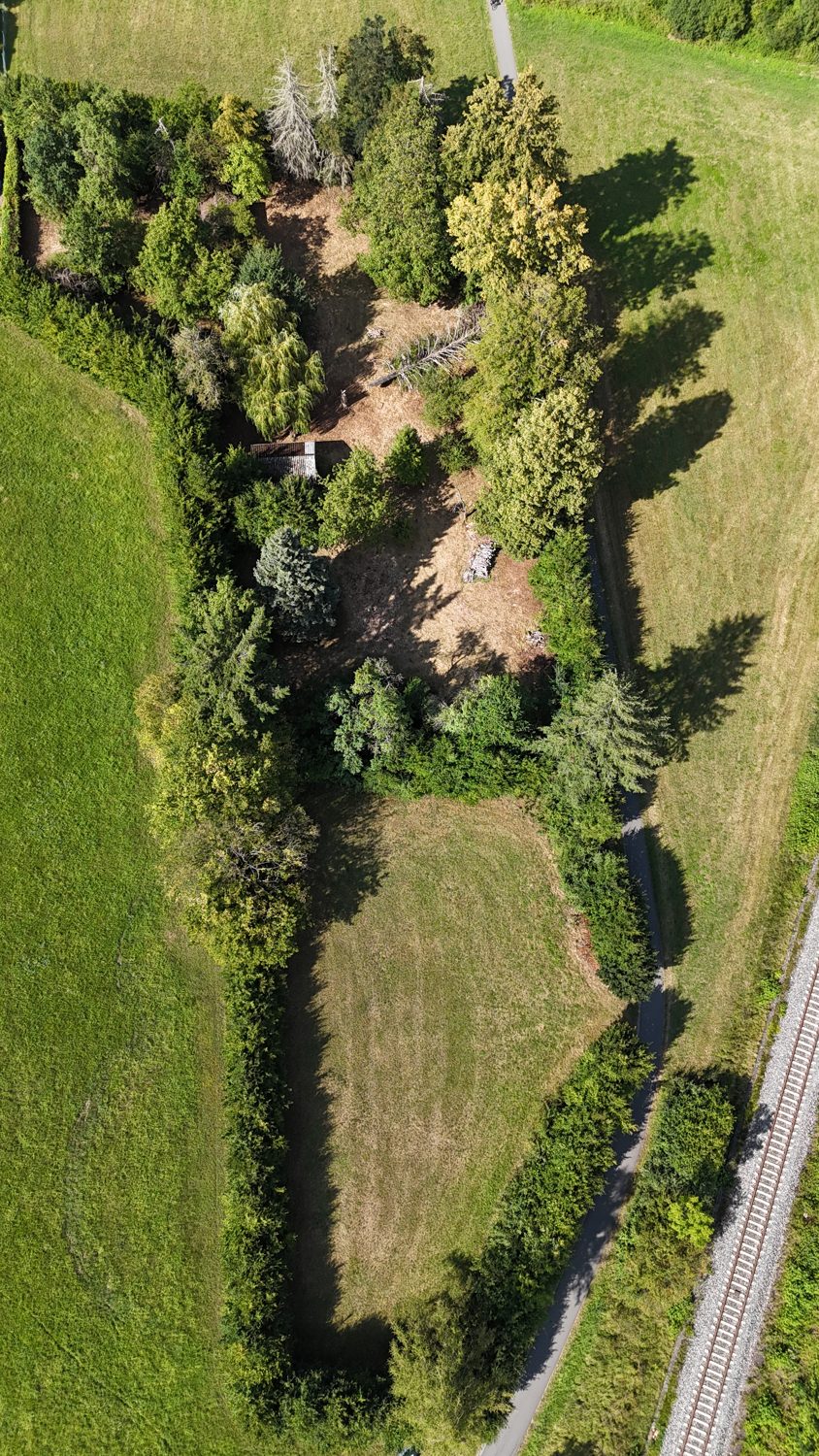 Luftbild hochkant: Wiese, Baumbestand und Radweg
