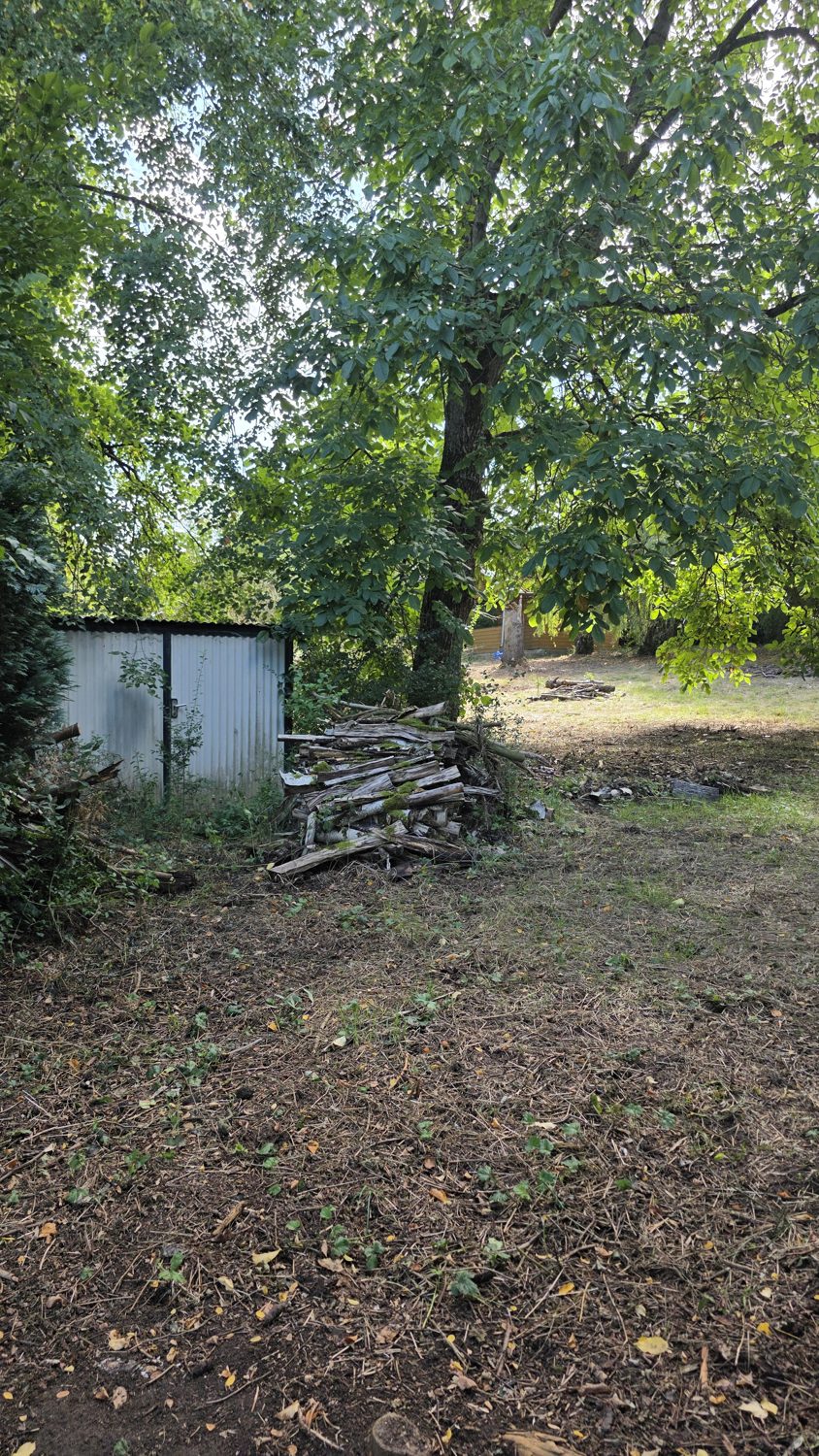Blechgarage und Holzstapel unter Bäumen
