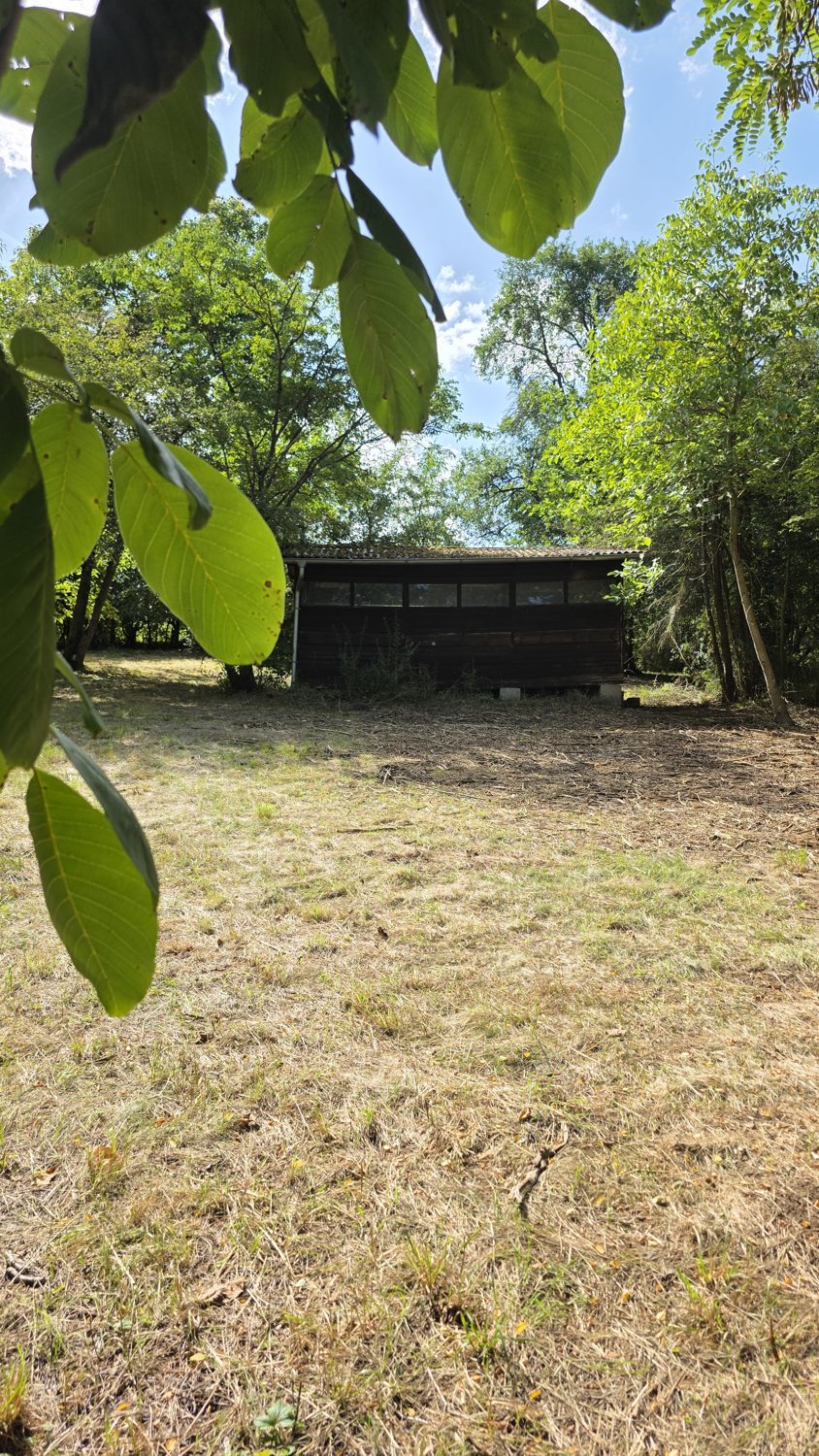 Blick unter den Walnussbäumen zur Hütte