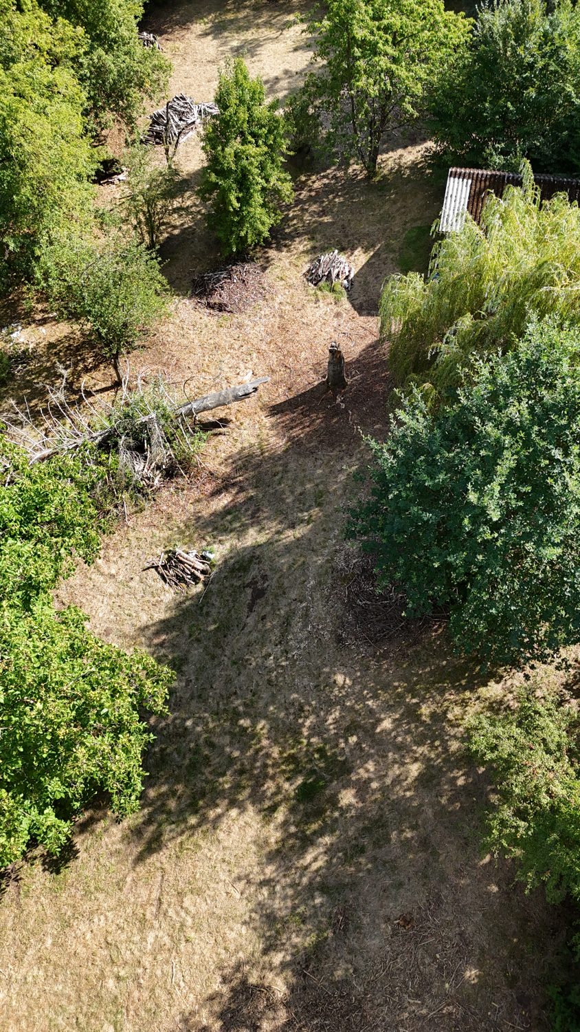 Luftbild hochkant: der Teil mit altem Baumbestand