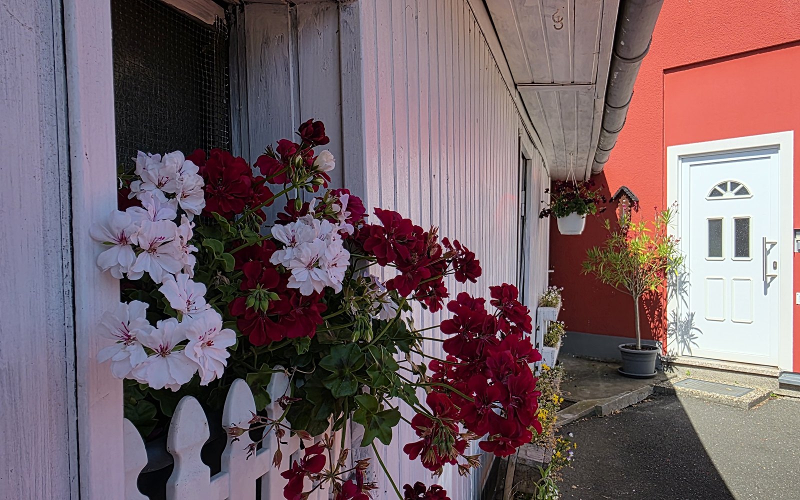 Seiteneingang mit Blumen