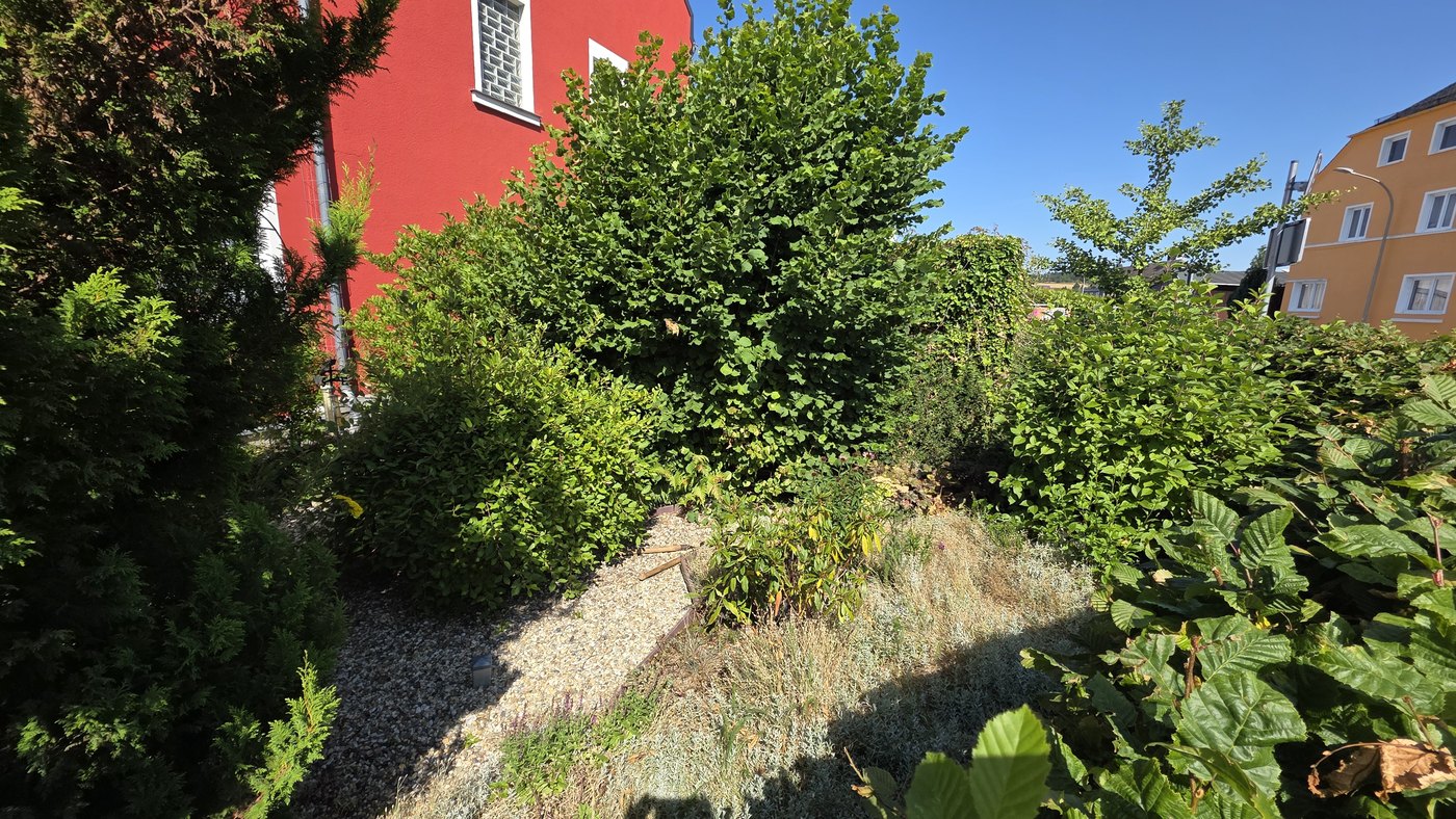 Garten heute