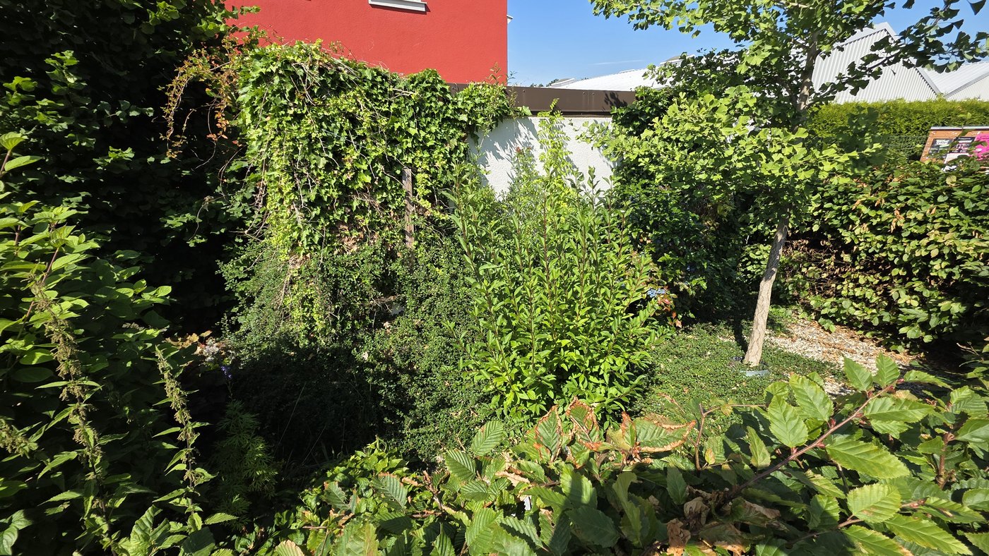 Hinterer Gartenbereich heute